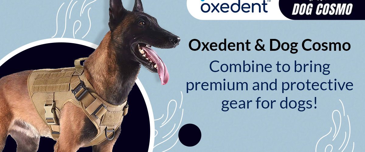 Oxedent wins the mandate for Dog Cosmo’s Performance Marketing campaign for 2022-23