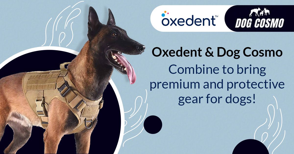 Oxedent wins the mandate for Dog Cosmo’s Performance Marketing campaign for 2022-23